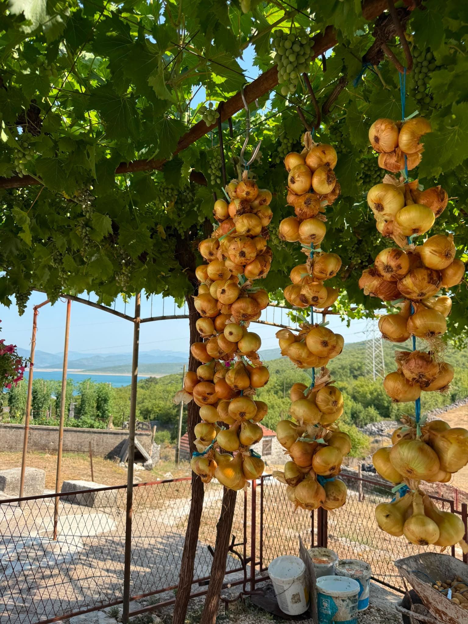 Фотографија ускоро
