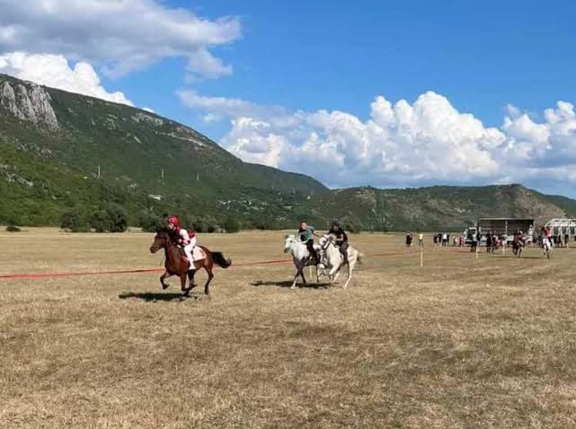 Фотографија ускоро